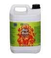 GHE BioBud 10 liter