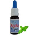 CBDA Olie Mint 10ml - 2.3% (CBD + CBDA)