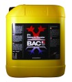 BAC F1 Extreme Booster 5 ltr.