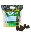 Root! t Stamm Schwämme (50 Stück)